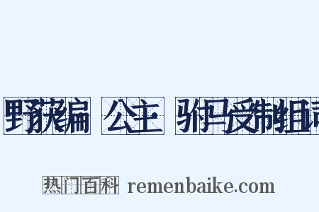 野获编·公主·驸马受制组词是什么意思的图片